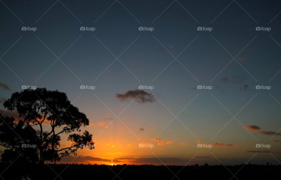 Lusterl. Sunset at Melbourne Australia