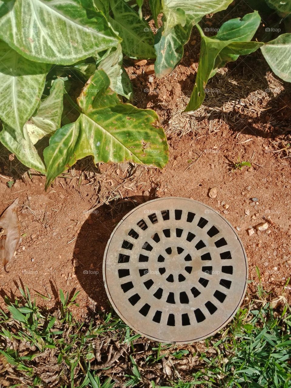 Round drain in a garden