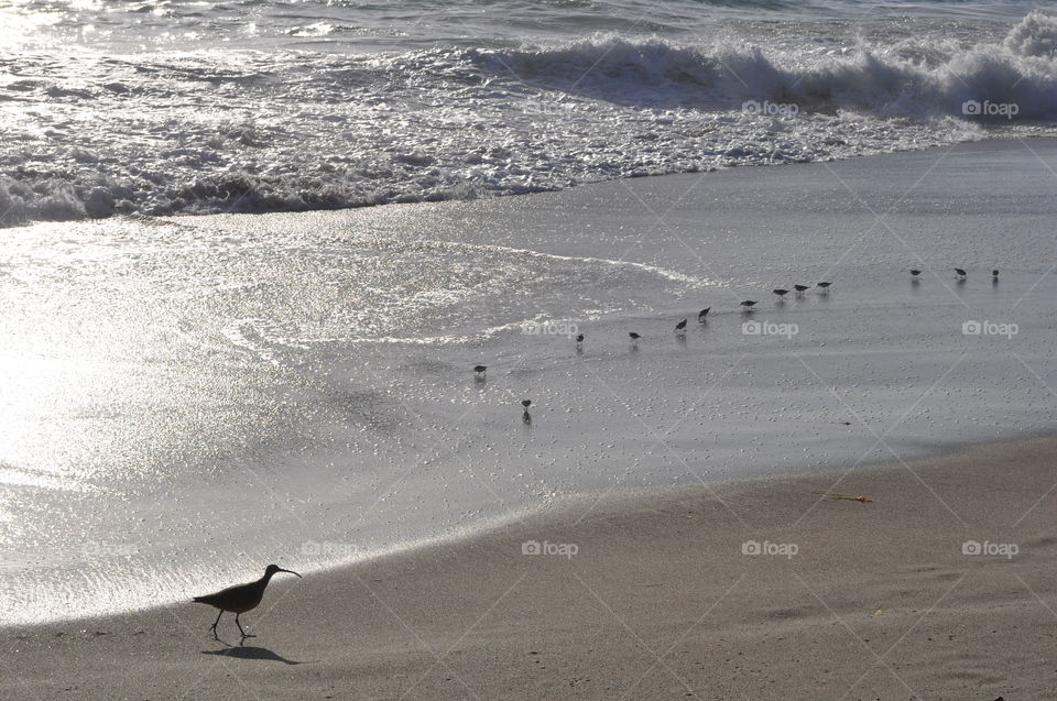 Family at the beach