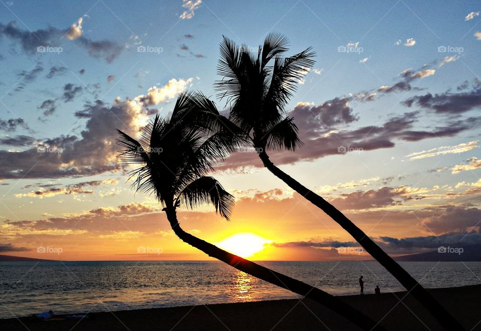 View of palm trees at beach during sunset