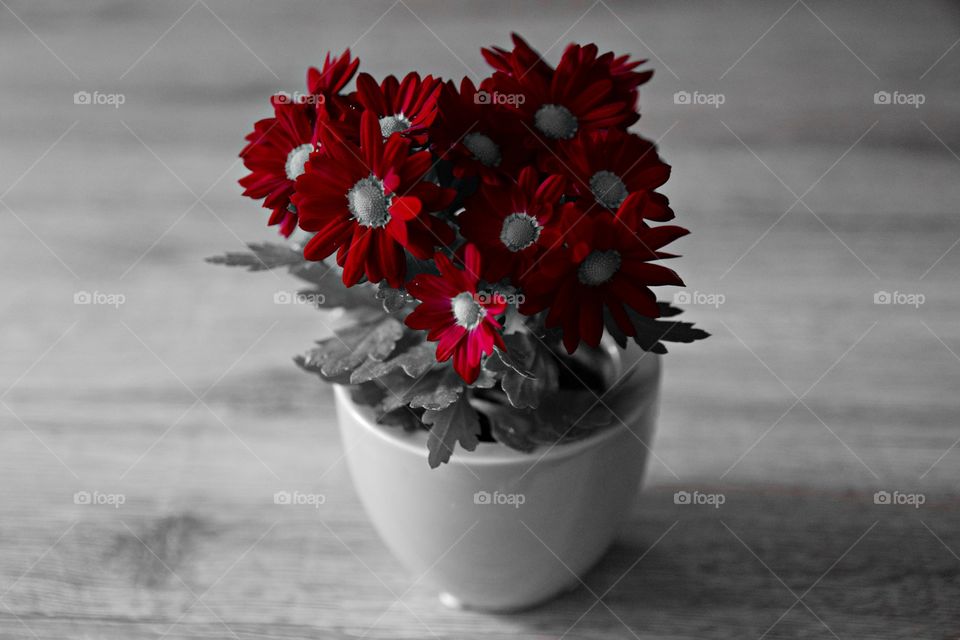red Flower