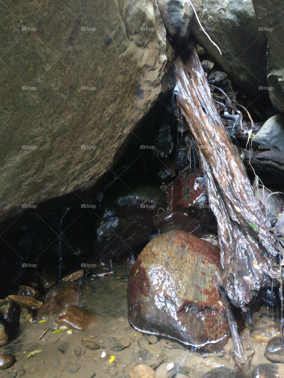 Beautiful Sri Lanka..