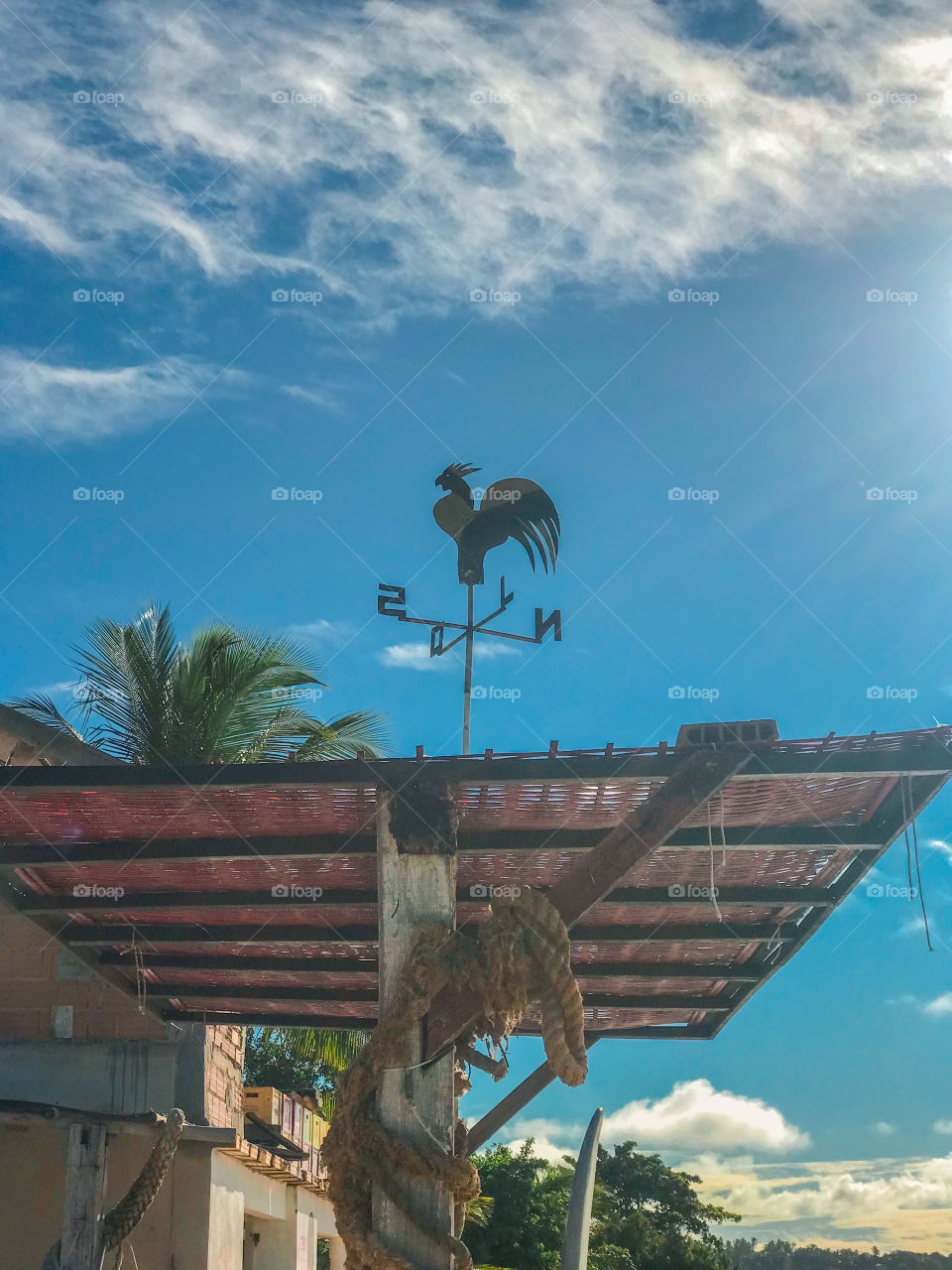 Praia de coroa vermelha Bahia brasil 🇧🇷