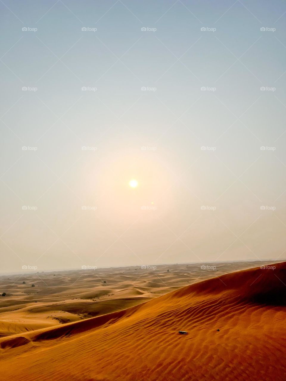 Dunes in the evening