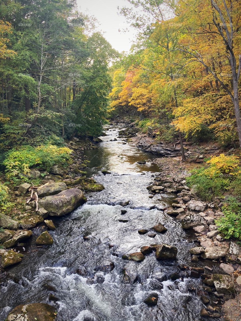 A beautiful river flows by as the leaves change their colors. Hello Fall! 