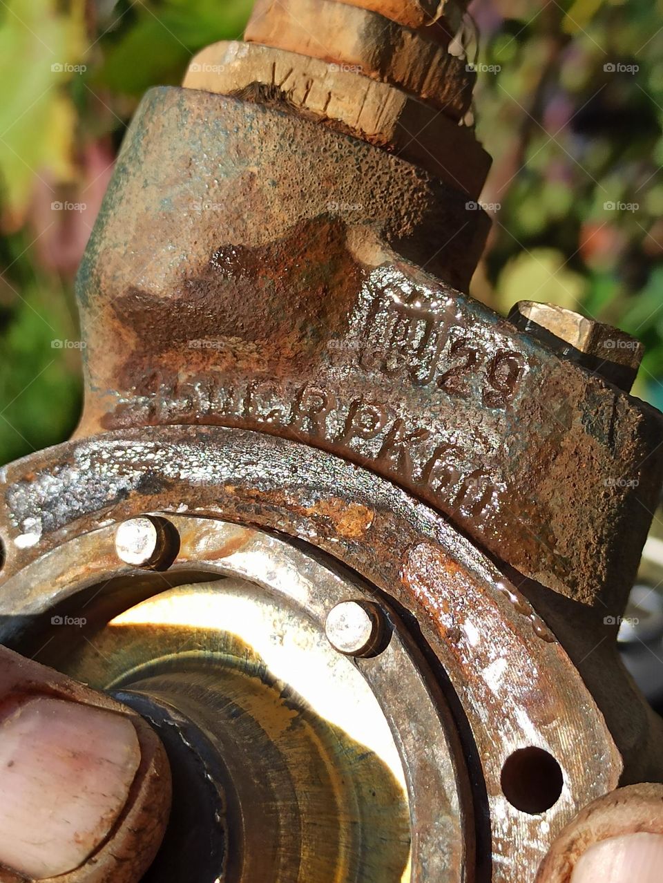 a mechanic's hands as they work on a specific car repair