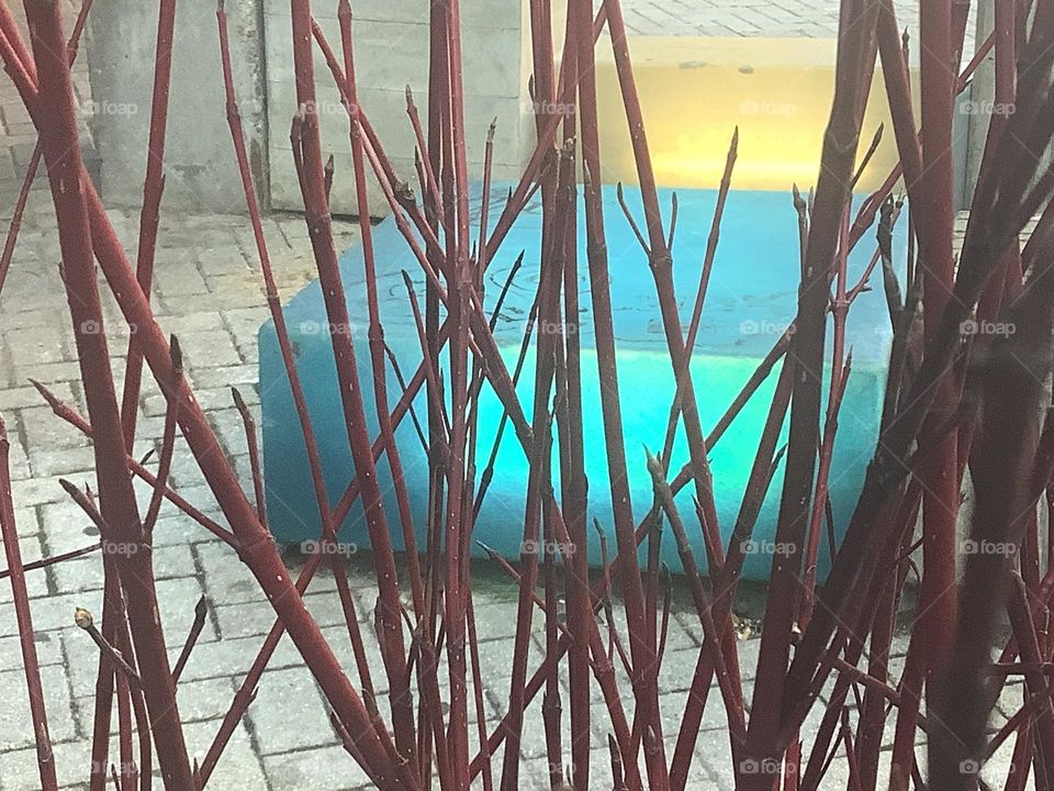 I think the blues in this block, subtle yet very present, we’re the perfect juxtaposition to the reeds I gazed through to admire the shot.