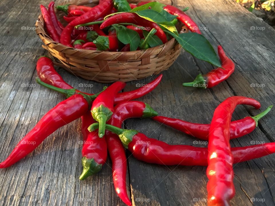 Fresh red chili 