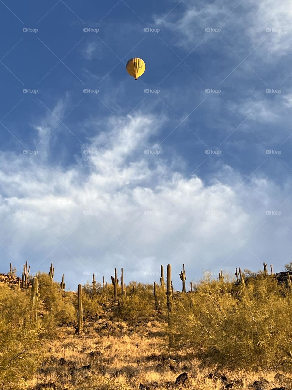 Desert balloons