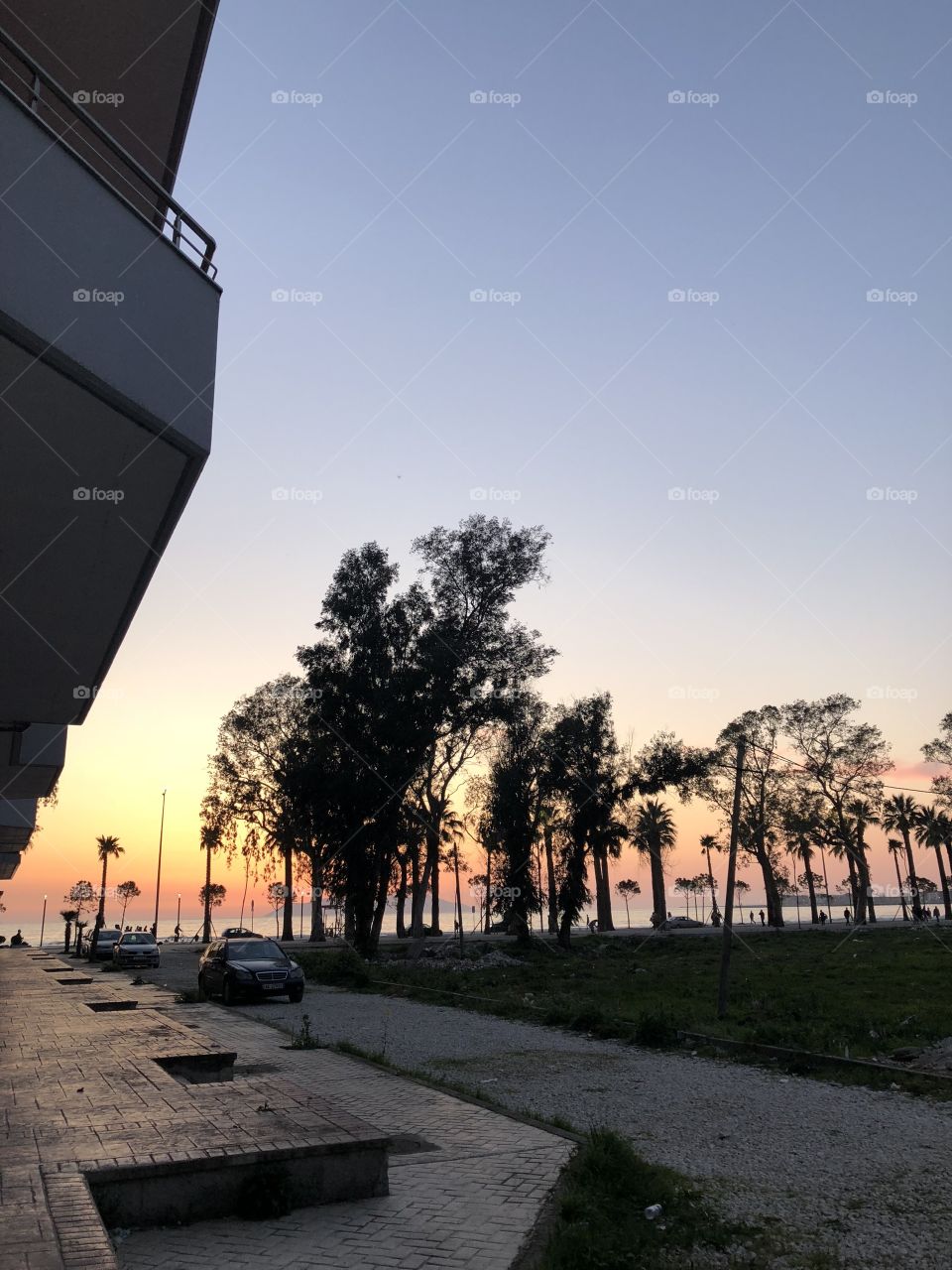 La la land 🧚‍♀️