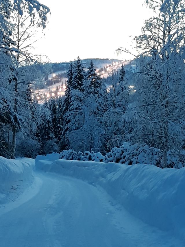 winter vacation
