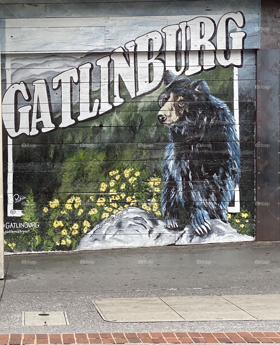 Gatlinburg Tennessee 