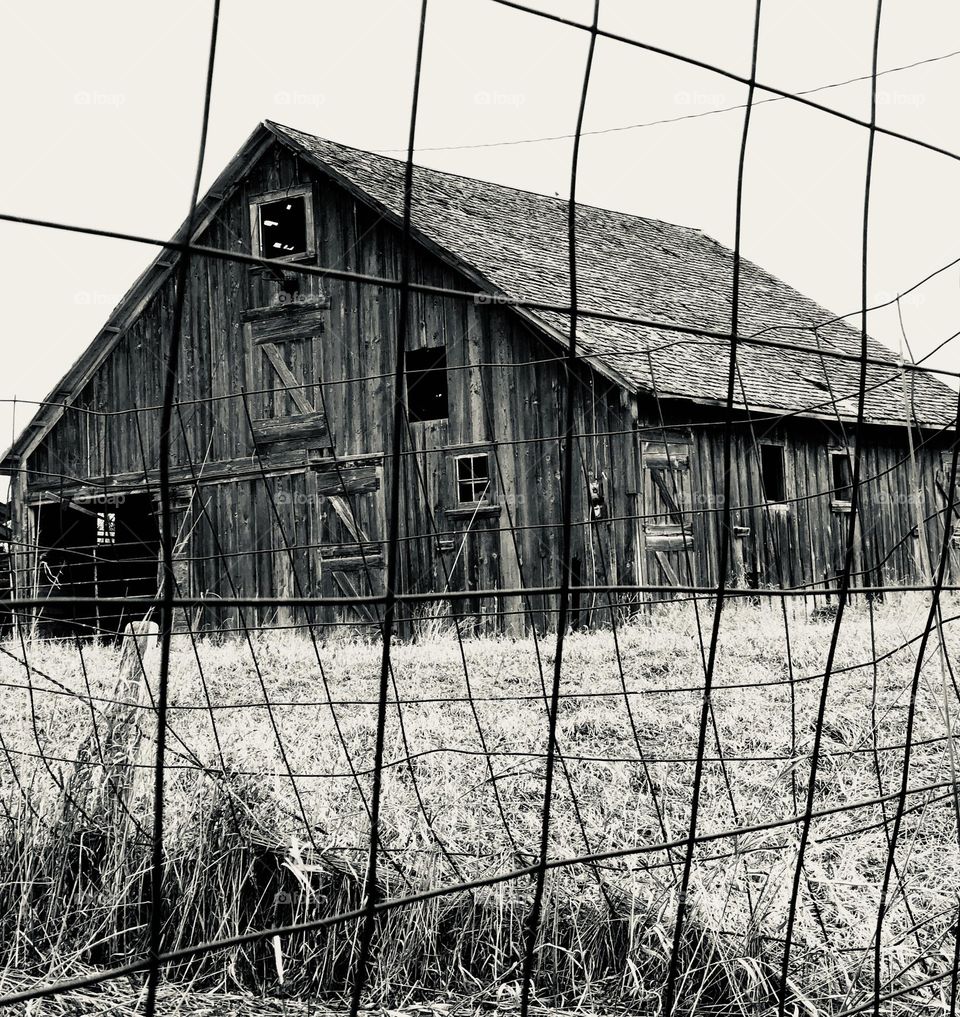 Dilapidated Barn