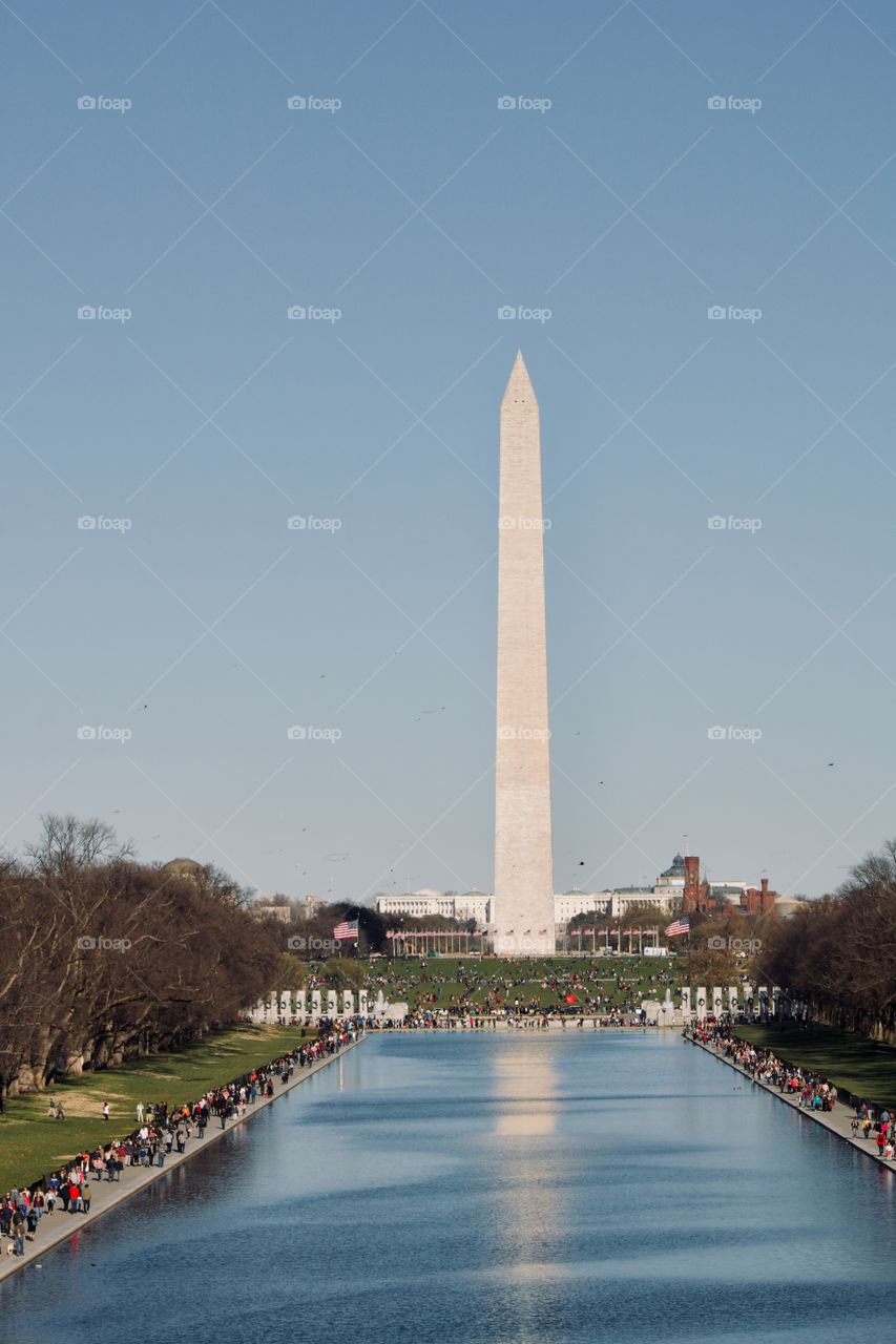 The Washington Monument in Washington DC 