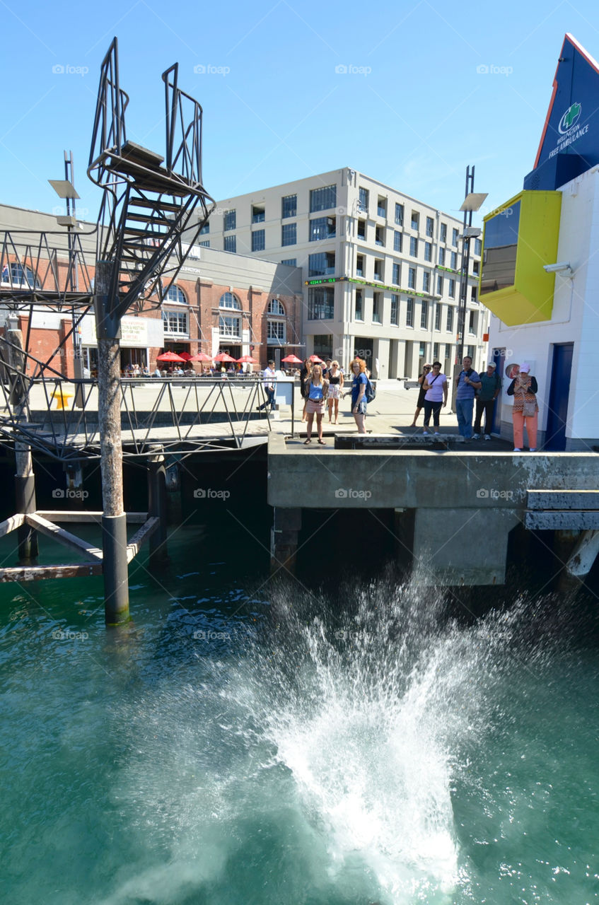 Jumping into harbour in city