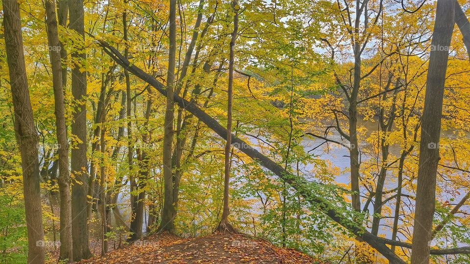 Riverbank in the fall