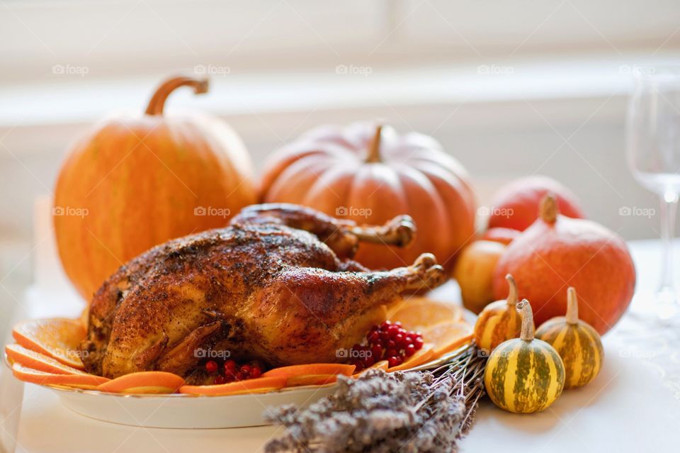 turkey, Thanksgiving, pumpkin, Thanksgiving day, Thanksgiving decor,