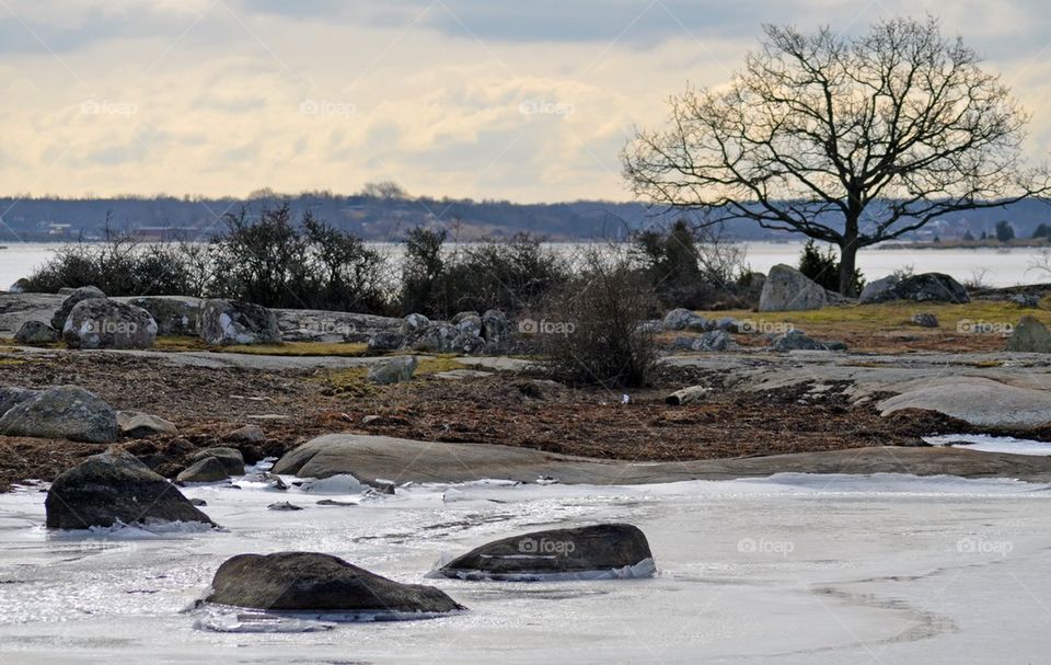 View of frozen lake in winter