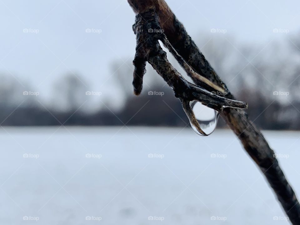 Closeup of a water droplet acting as a lens on the twig of a bare tree—a miniature, inverted image of the snowy field and tree background appear in it - landscape