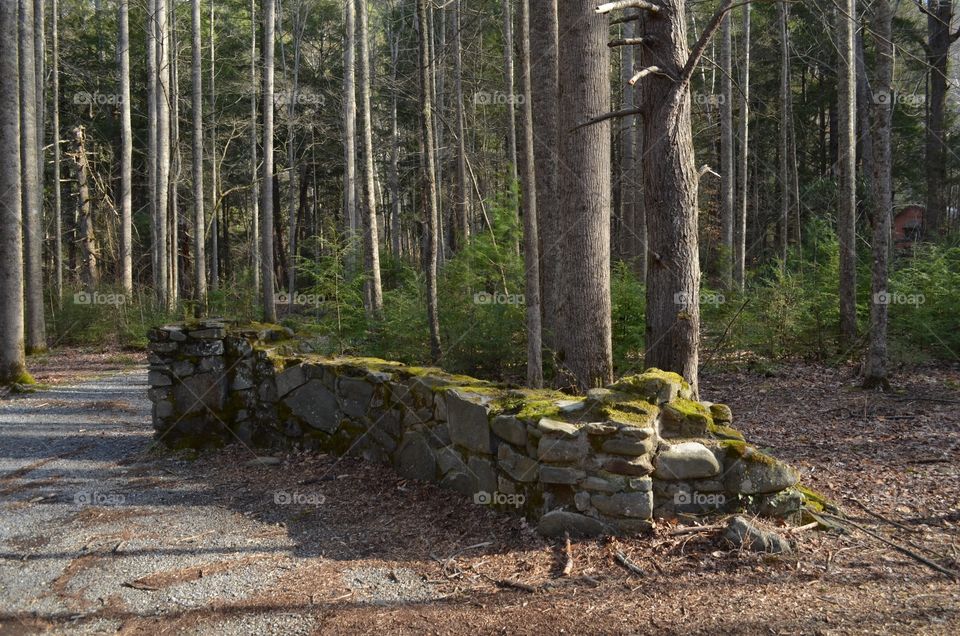 Old rock wall in the forest