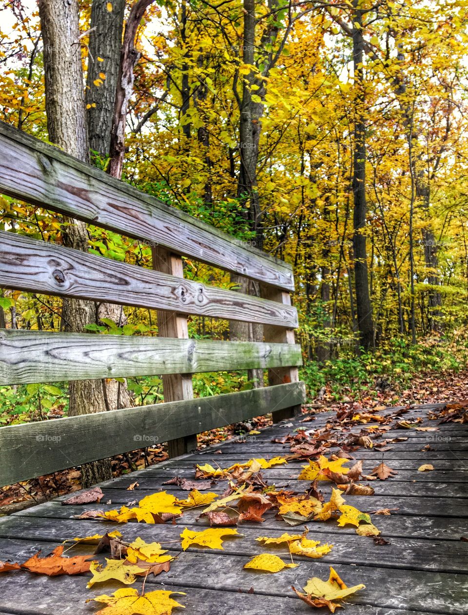 Bridge to more discovery 