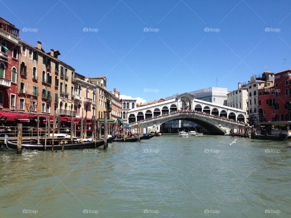 Venice scene of the Rialto bridge