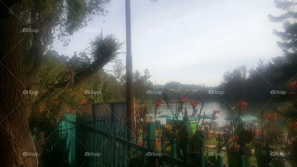 Ootty lake