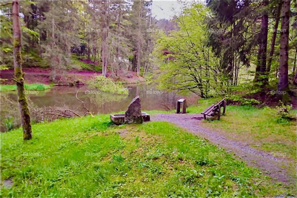 This is a clearing by the “Eging Lake”, the “Eginger See” in the “Bavarian Forest”, the “Bayerischer Wald” near the town of “Eging”. 2024. Hypnotic Productions