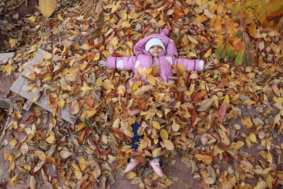 autumn