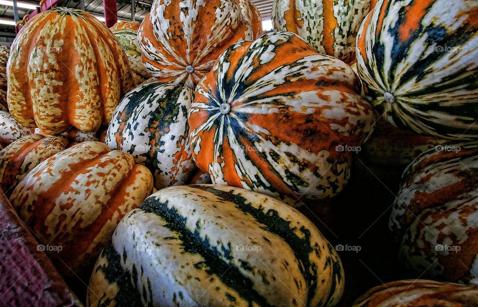 Gourds