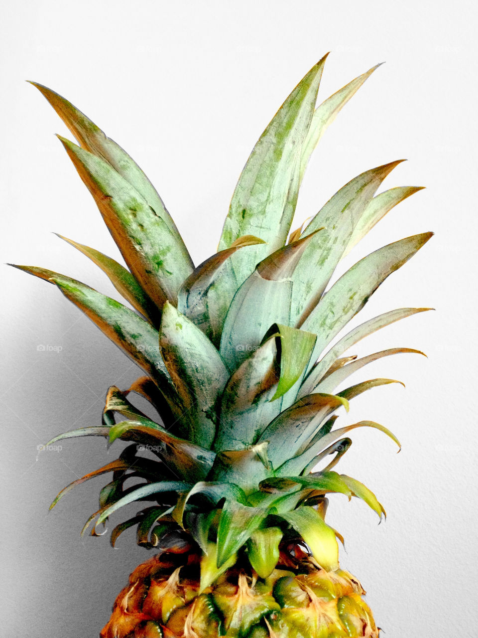 Closeup of a pineapple upper part