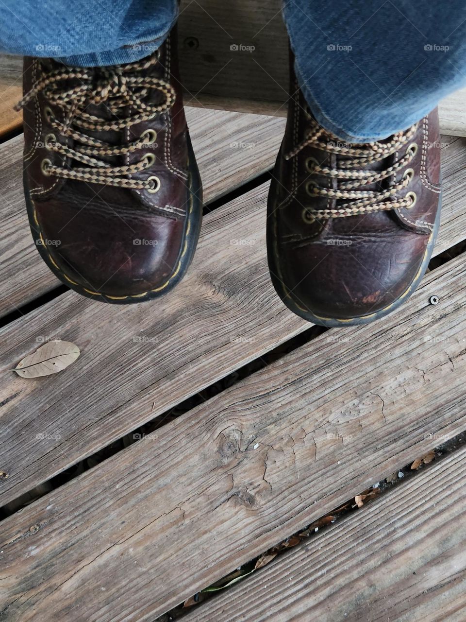 Docs on the deck