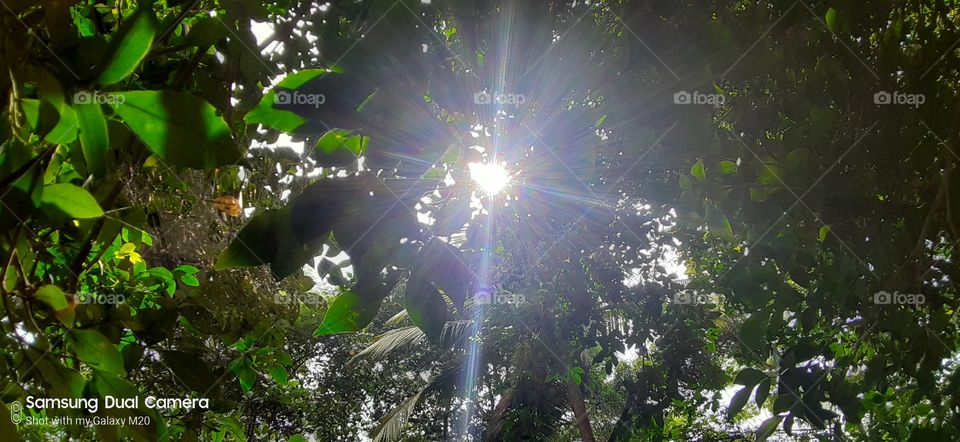 Sunbeams blessing the soul of nature. The laughing Sun unveiling the natural beauty of earth.