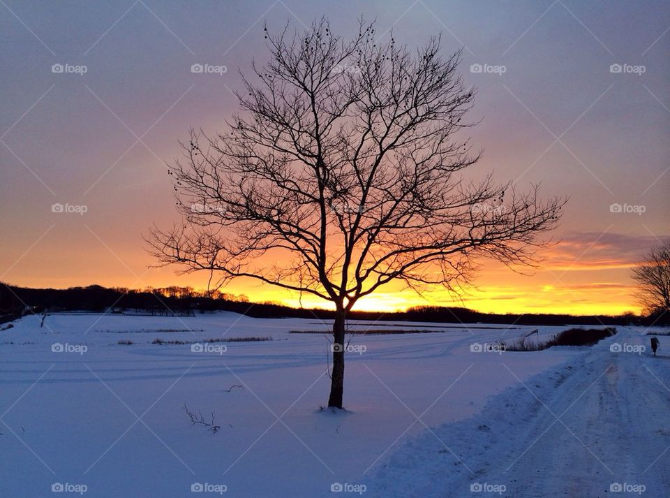 Beautiful winter sunset