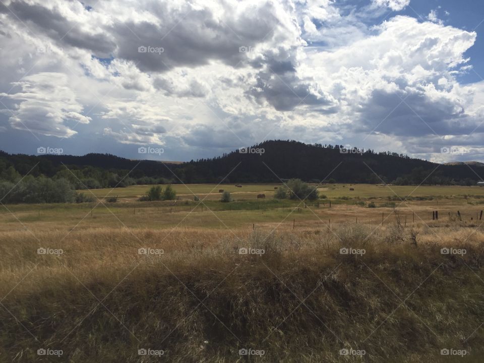 No Person, Landscape, Cropland, Sky, Outdoors