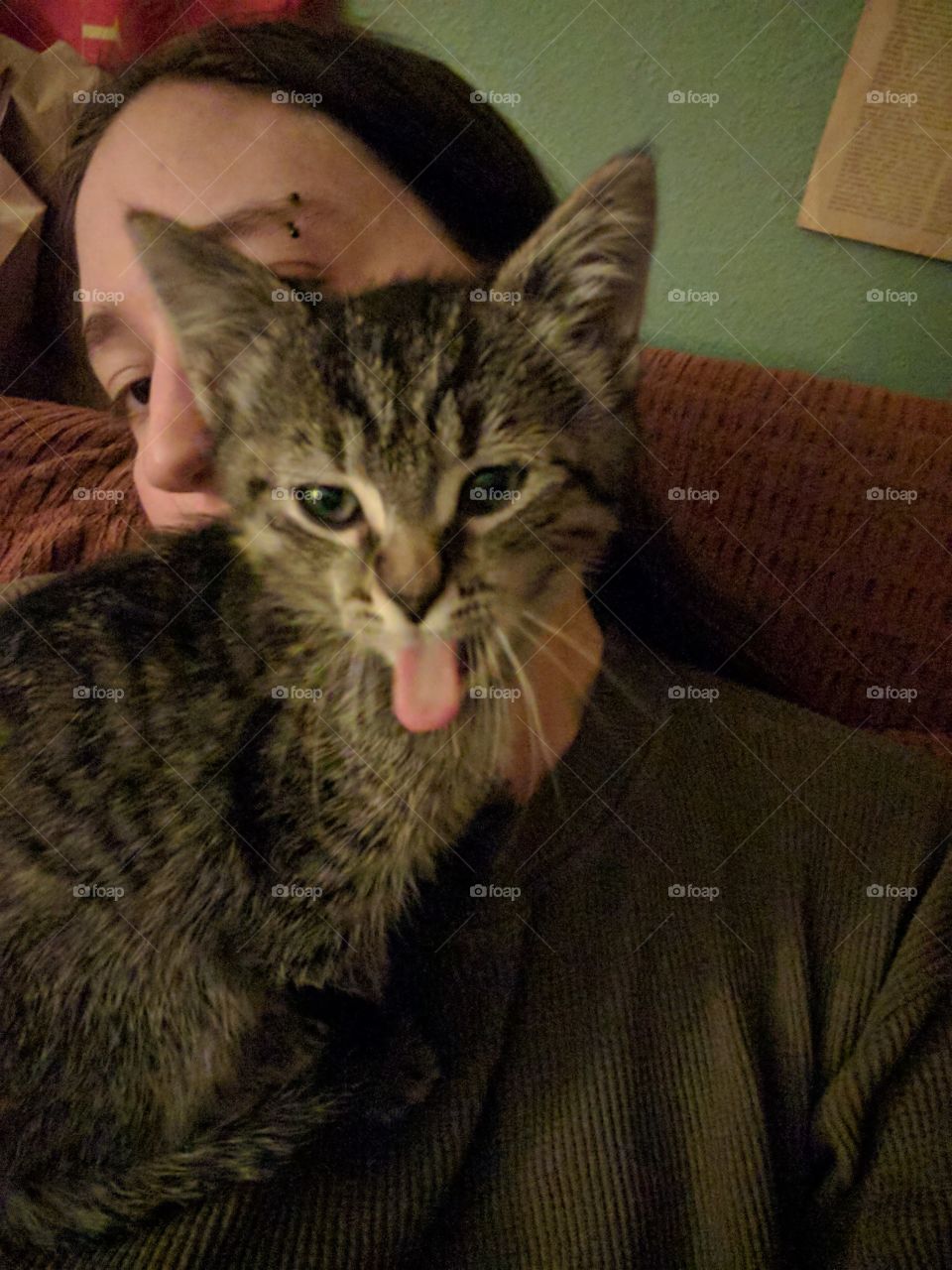 Kitten with Tongue Out