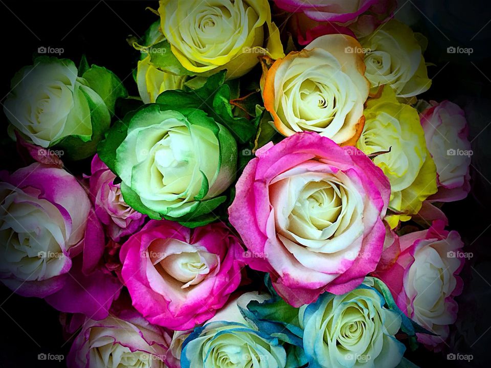 Multicolored rose bouquet.