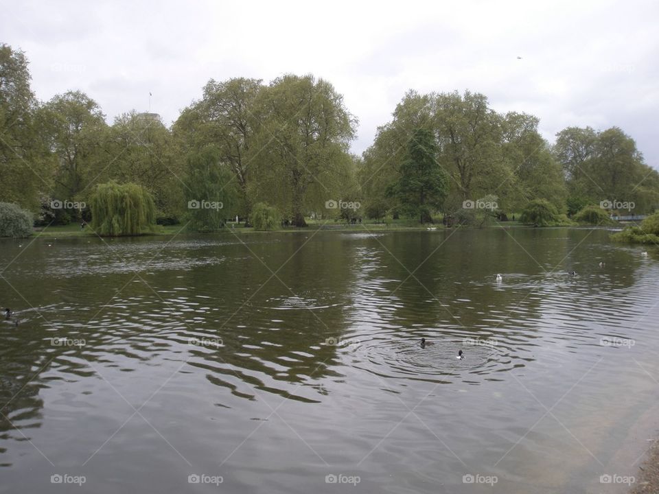 THE ST. JAMES PARK LONDON, ENGLAND