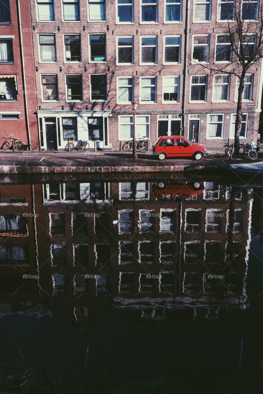 The red car and the seagull
