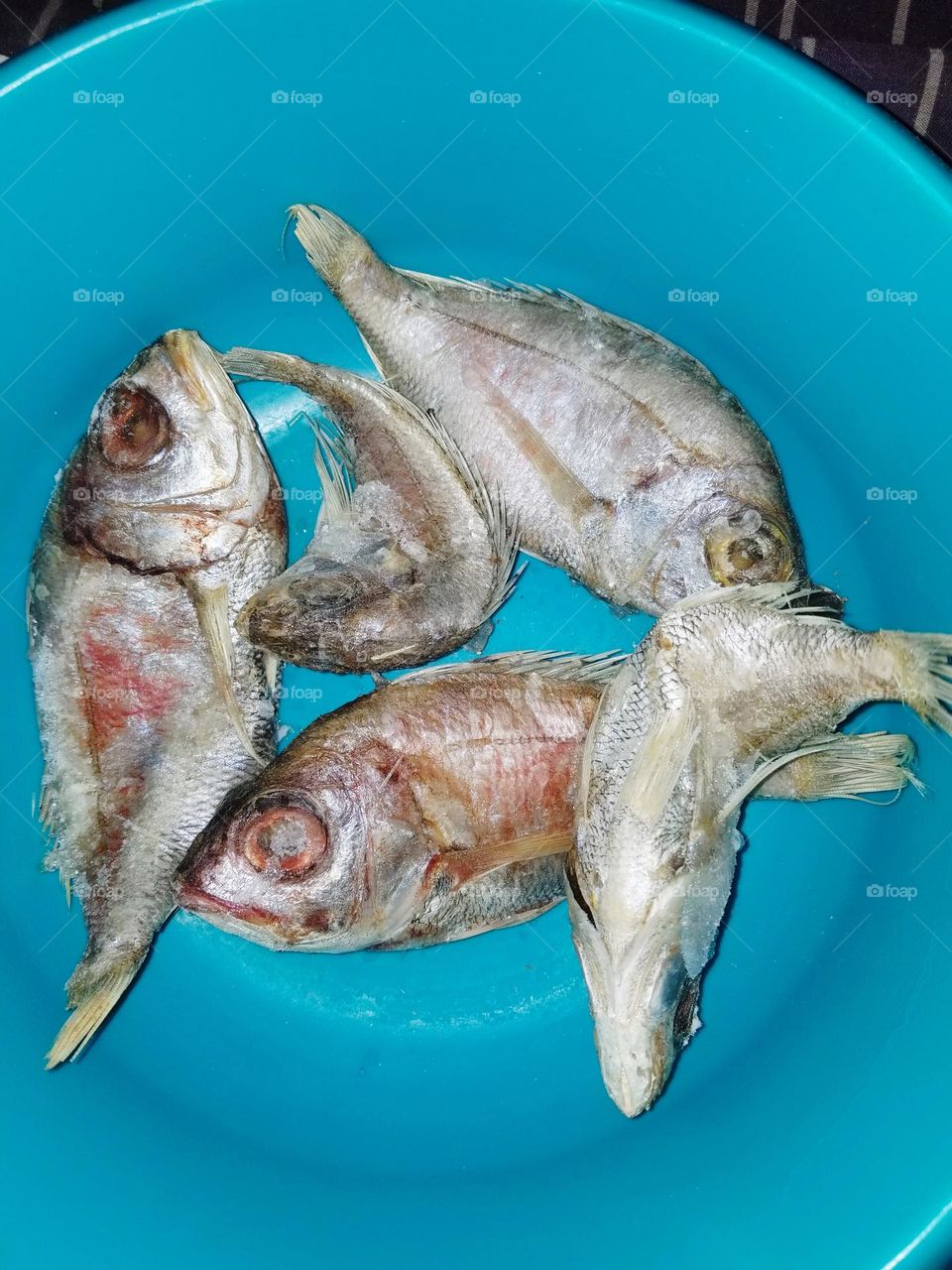 tasty fish species in Namibia.  Found in Luderitz in a big river. can be fried or roasted, enjoyable when served with sprinkle lemon.Thats their normal sizes.