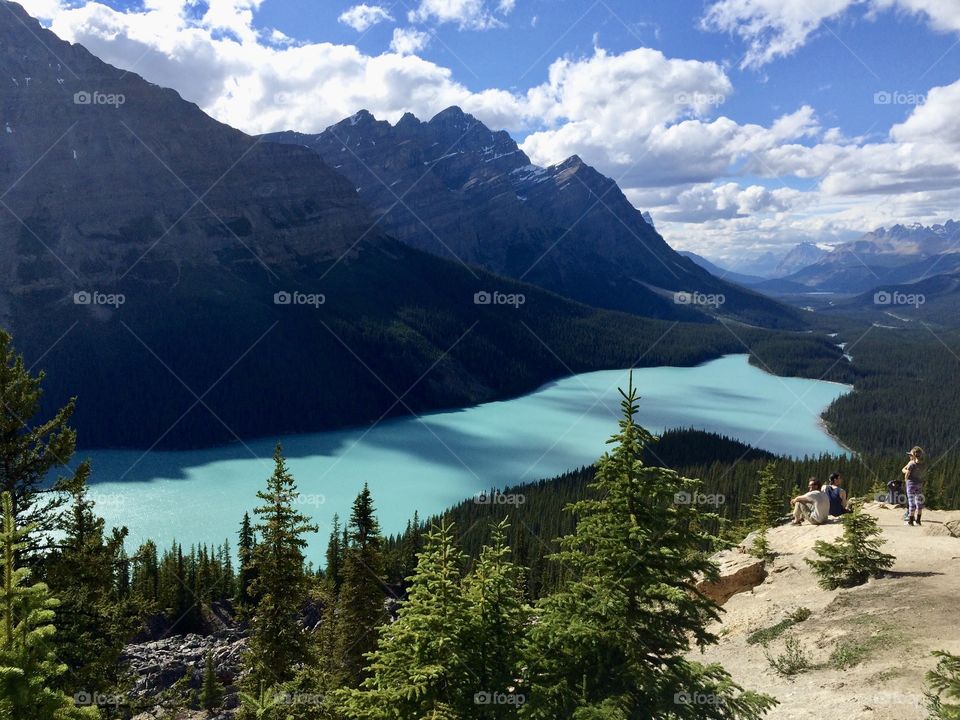 One of my favourite photo’s taken with my phone of a wolf shaped Lake called Peyto in Canada 🇨🇦