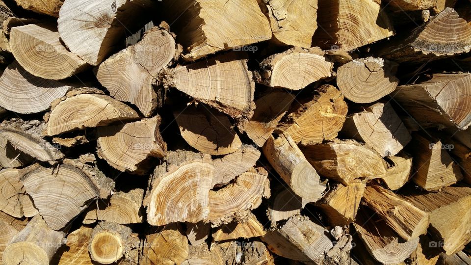 Tree Log, Firewood, Log, Wood, Tree