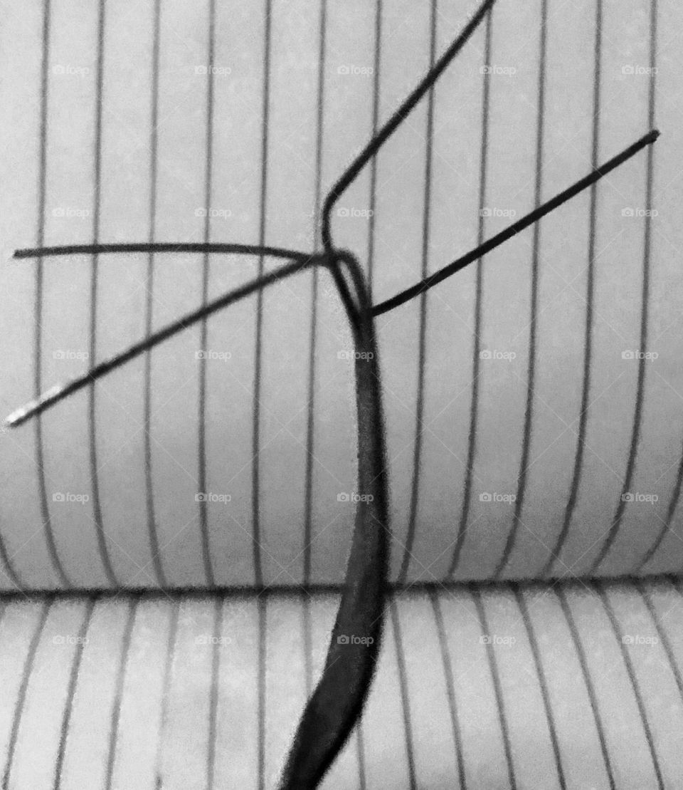 what we do for the sake of photography. we outdo ourselves to give you an art worthwhile.