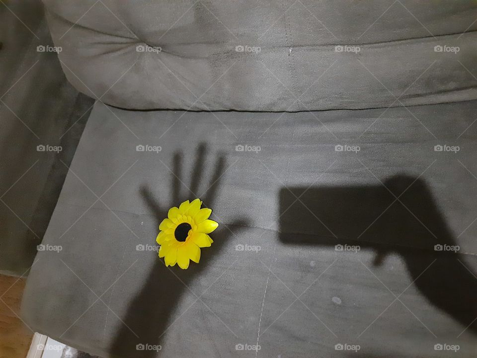 cell phone hand shadow and a sunflower flower