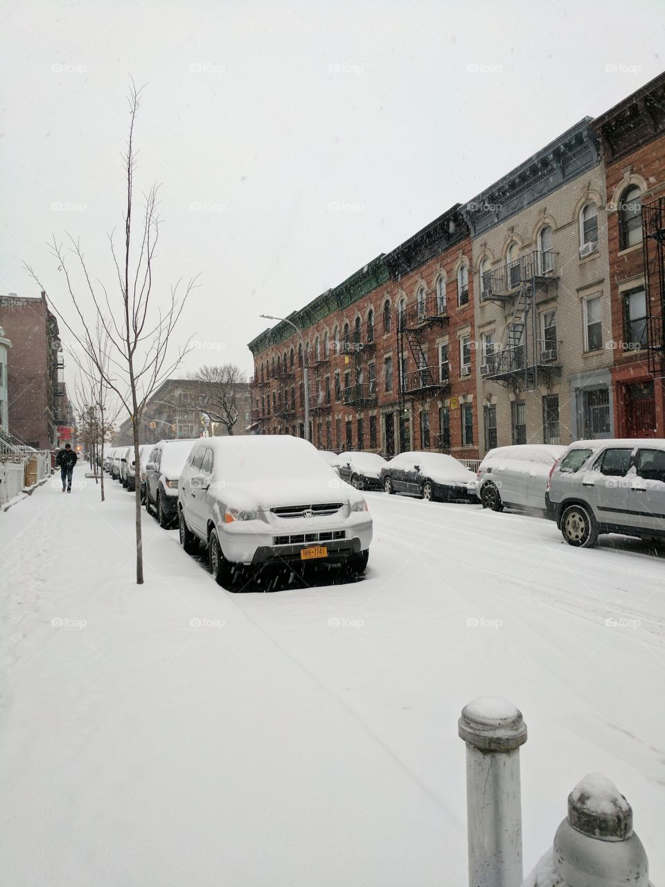 Snowy Brooklyn Sidewalk