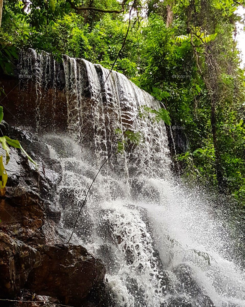 Waterfall in green forest