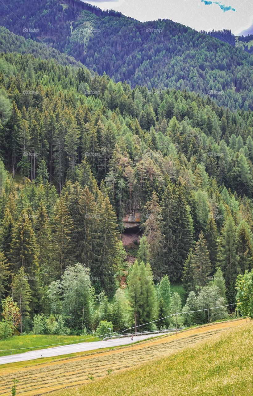 Cave in the woods above a field