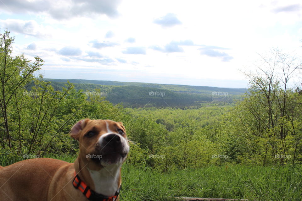 Pucker up! Odin being silly for the camera 
