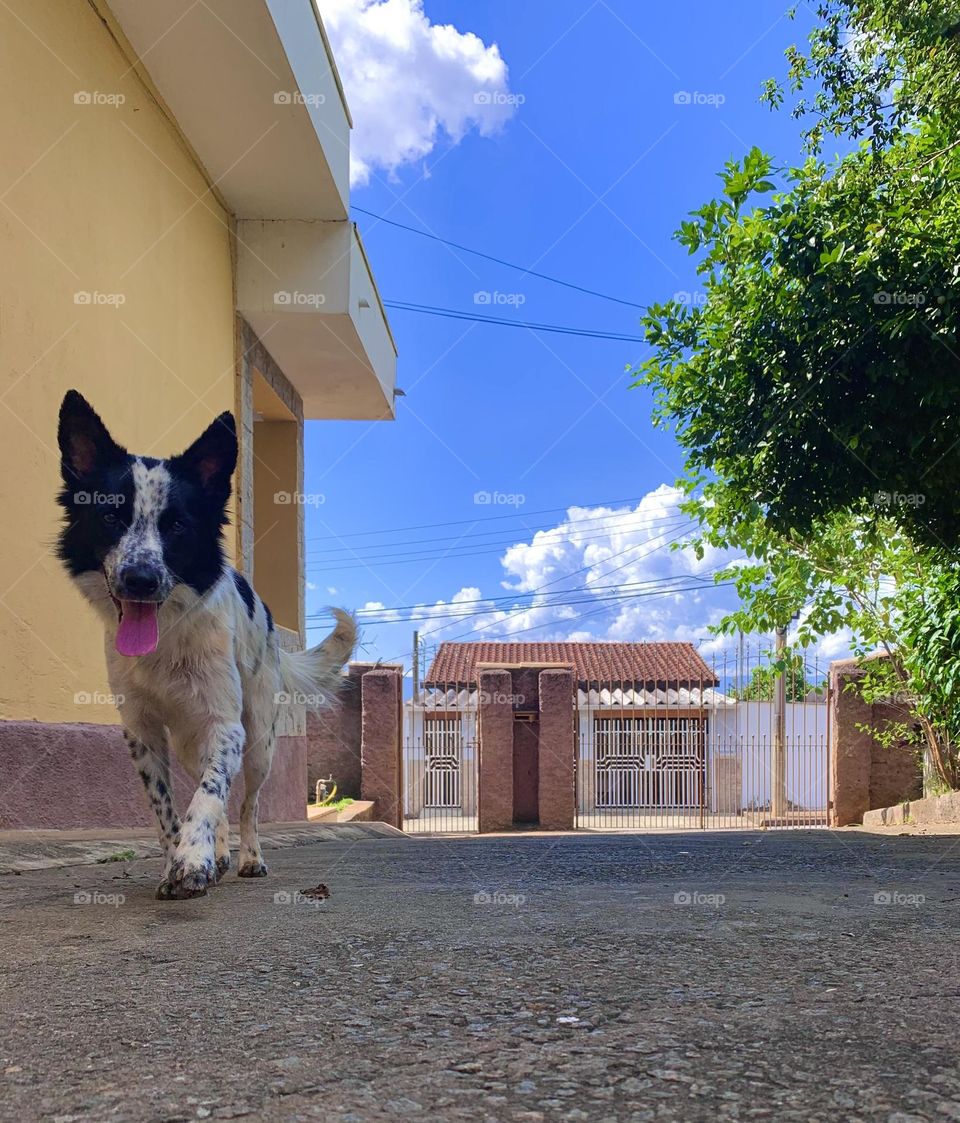 Brazil and its landscapes