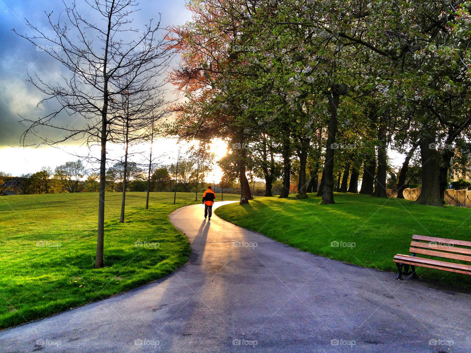 alone park blossom walker by alex_kore